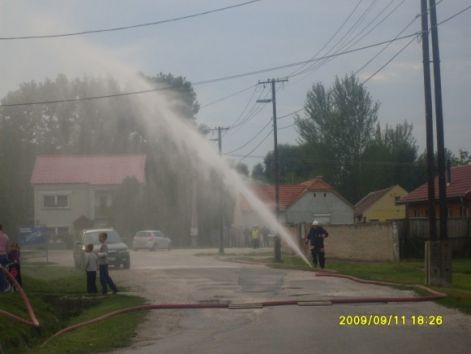 5979541.jpg
